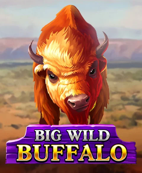 Play Big Wild Buffalo at Tether Bet Casino